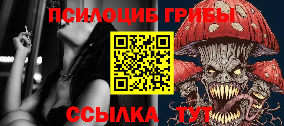 Осинники  где купить наркоту  Вход с VPN  Галлюциногенные грибы Cubensis 